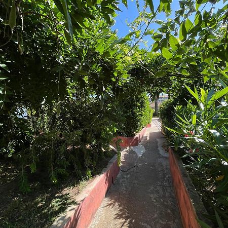 Le Rateau Bavoir Calvi  Exteriér fotografie