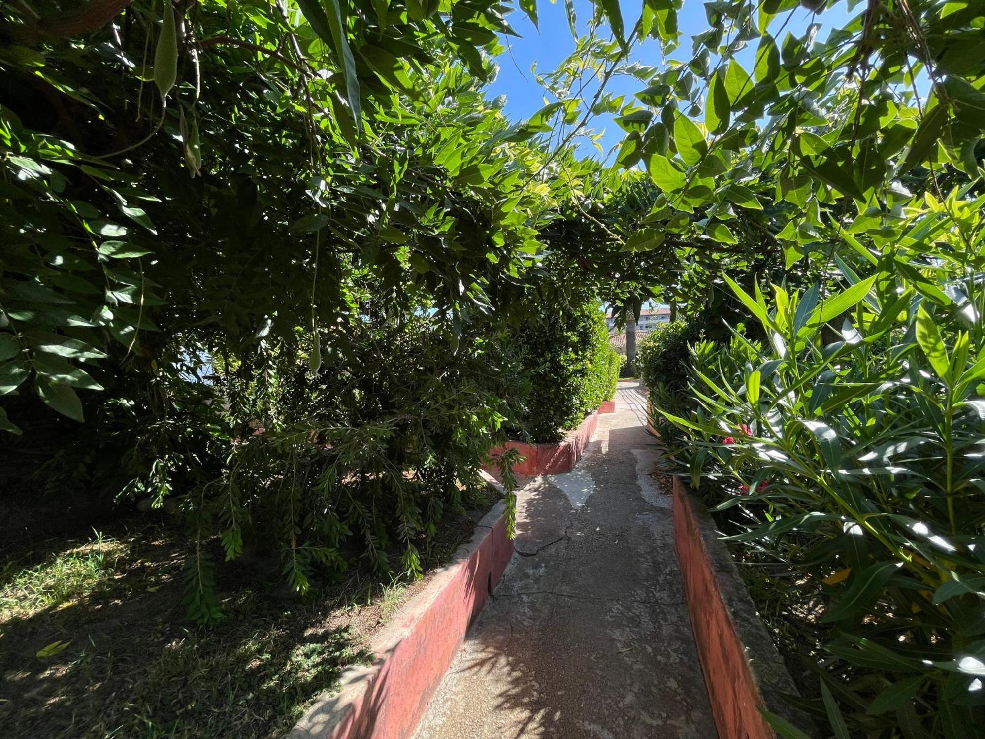 Le Rateau Bavoir Calvi  Exteriér fotografie